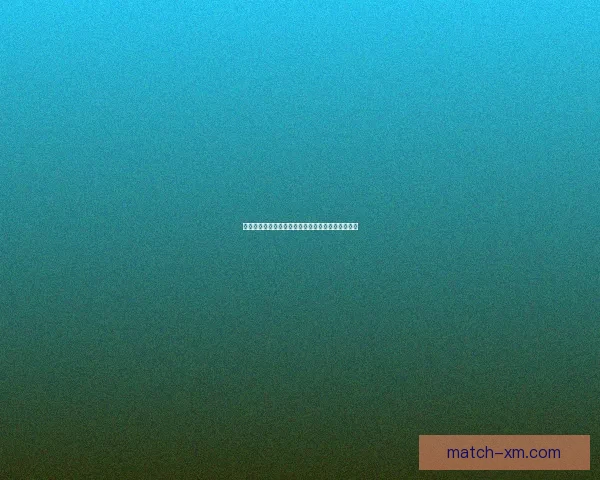 熊猫体育篮球全面解析最新赛事动态与球员表现趋势